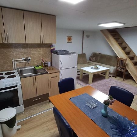 Kopaonik Apartman Aleksandar 外观 照片