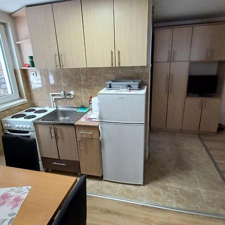Kopaonik Apartman Aleksandar 外观 照片