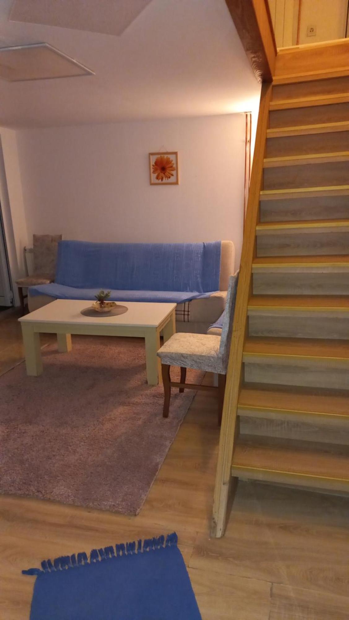Kopaonik Apartman Aleksandar 客房 照片